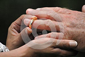Wedding Ring Hands