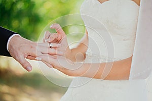 Wedding ring hands love