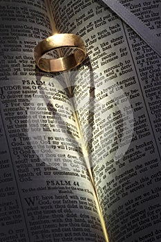 Wedding Ring - Heart Shadow