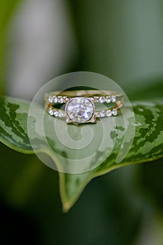 Wedding Ring on Large Plant Leaf