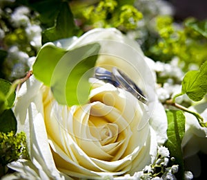 Wedding ring laying on a yellow rose