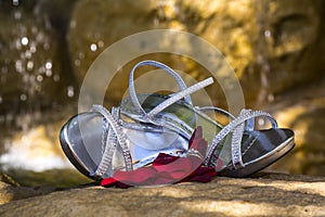 Wedding Ring on Petals With Shoes and Waterfall in Background