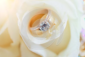 Wedding Ring Placed in white rose