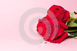 Wedding ring and red rose flower on pink background