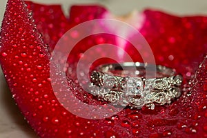 Wedding Ring and Red Roses