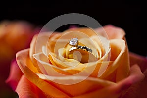 Wedding Ring photo