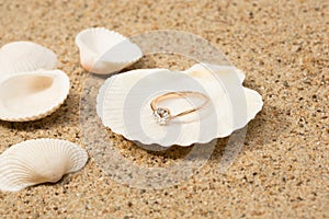 Wedding ring in a shell