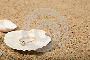 Wedding ring in a shell