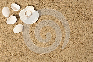 Wedding ring in a shell
