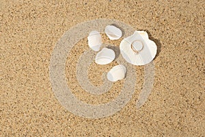 Wedding ring in a shell