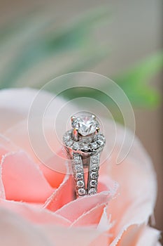 Wedding ring - Stock Image