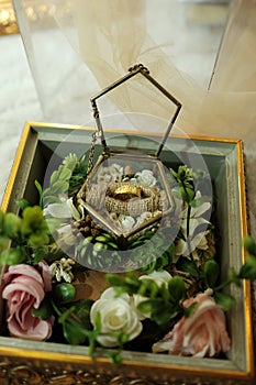 A Wedding ring on terarium Box