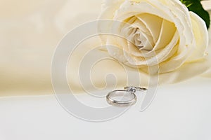 Wedding ring and white rose on ivory silk satin