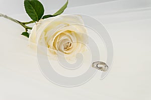 Wedding ring and White rose on white veil