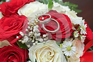 Wedding Rings