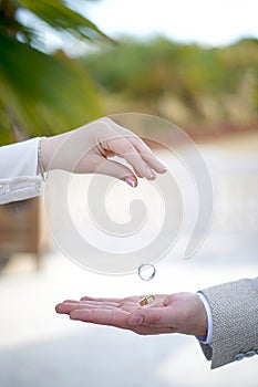 wedding rings photo