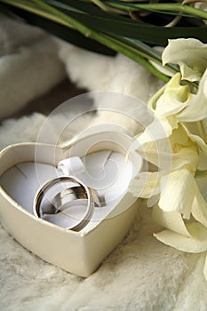 Wedding rings