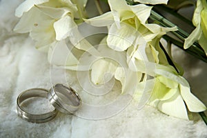 Wedding rings