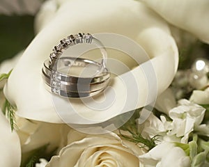 Wedding Rings