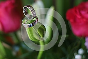 Wedding rings above on rose bud