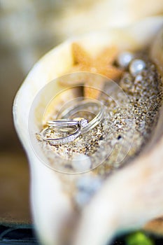 Wedding rings arranged on sand and a sea snail