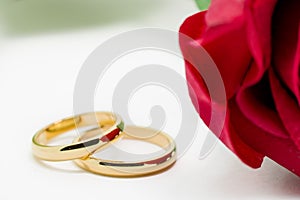 Wedding rings and artificial rose on white background