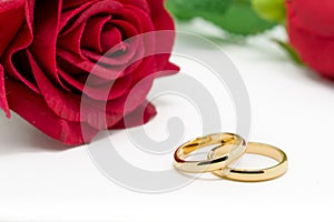 Wedding rings and artificial rose on white background