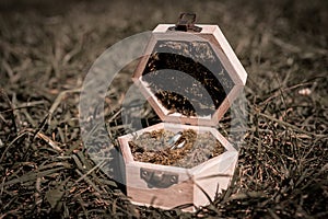 Wedding rings in beautiful wooden box with moss, love is everything, wedding day