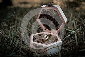 Wedding rings in beautiful wooden box with moss, love is everything, wedding day