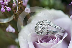 The wedding rings on bedded on Flowers.