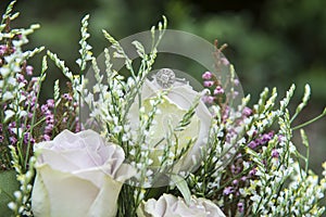 The wedding rings on bedded on Flowers.