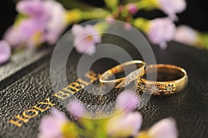 Wedding rings, Bible photo