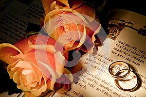 Wedding rings on a bible with the Genesis text photo