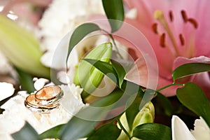 Wedding rings on the bouquet photo