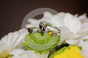 Wedding rings on a bouquet of white flowers