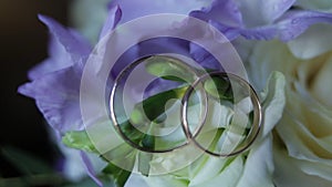 Wedding rings on a bouquet of white flowers close up. Wedding rings and bouquet of dark blue flower. Close up. Wedding