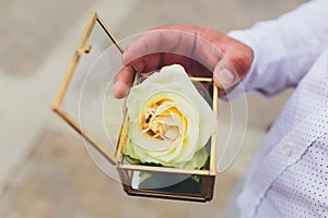 Wedding rings in the box and a bouquet of the bride in hand.