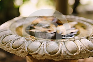 Wedding rings of the bride and groom on the old fountain in the autumn park.