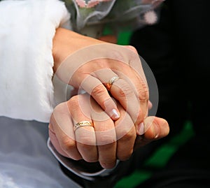 Wedding rings bride and groom. wedding rings. loving couple with wedding rings in hands.