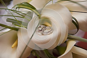 Wedding rings on a calla