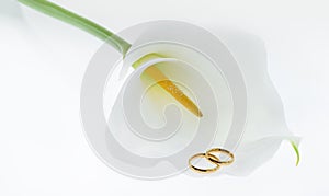 Wedding rings & Calla Lily