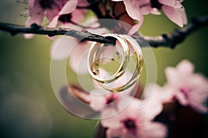 Wedding rings closeup