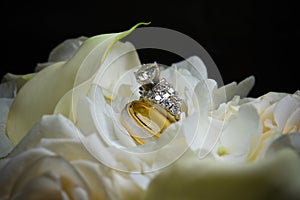 Wedding rings closeup on white rose