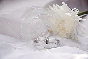 Wedding rings for couple on white background