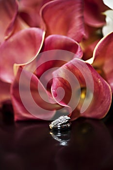 Wedding rings and Flowers