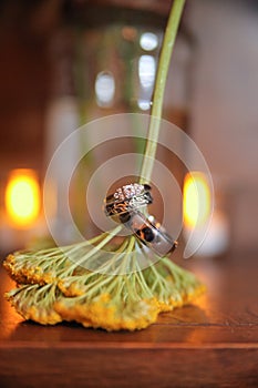 Wedding rings on flowers