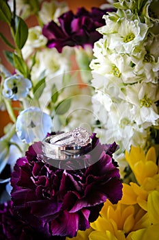 Wedding Rings on Flowers