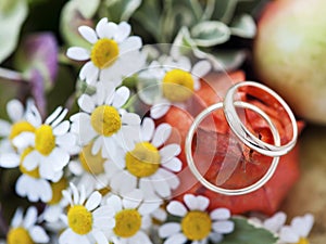 Wedding rings and flowers