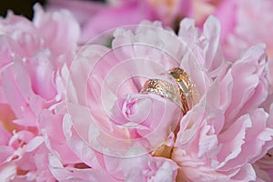 Wedding rings and flowers of pink peony