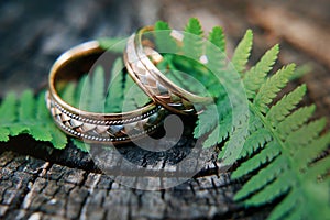 Wedding rings in forest